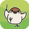 小鸟音乐会游戏下载安装(とりのおと)v1.0.2