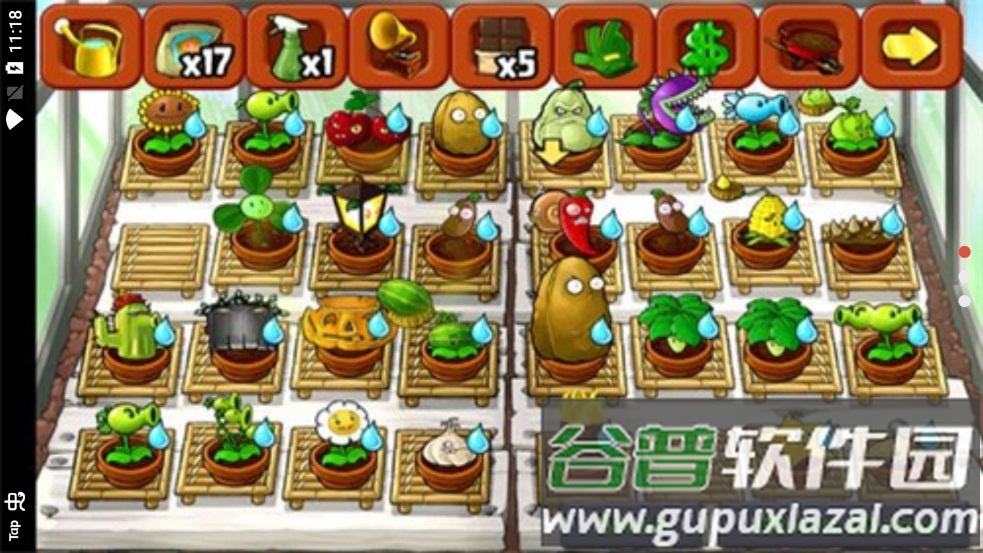 植物大战僵尸北美XI版截图3