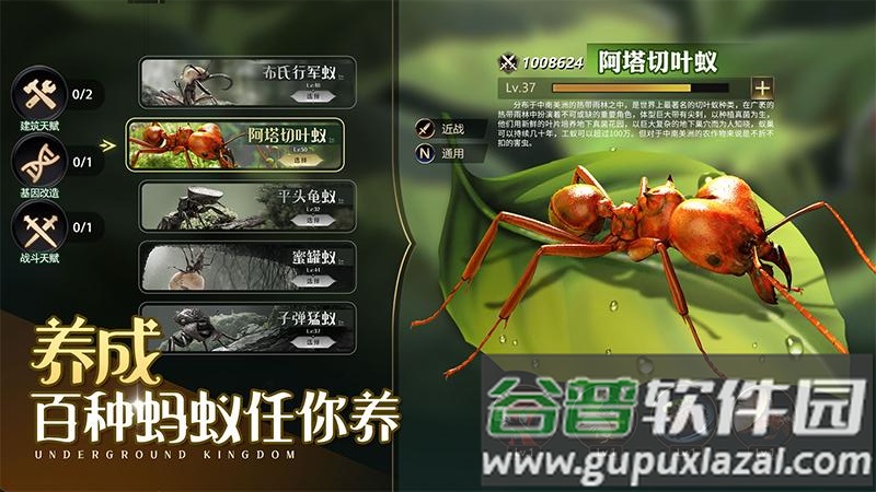 小小蚁国37端截图1
