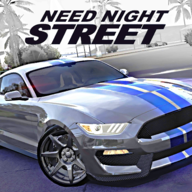 极品地下夜街Need Night Streetv1.1