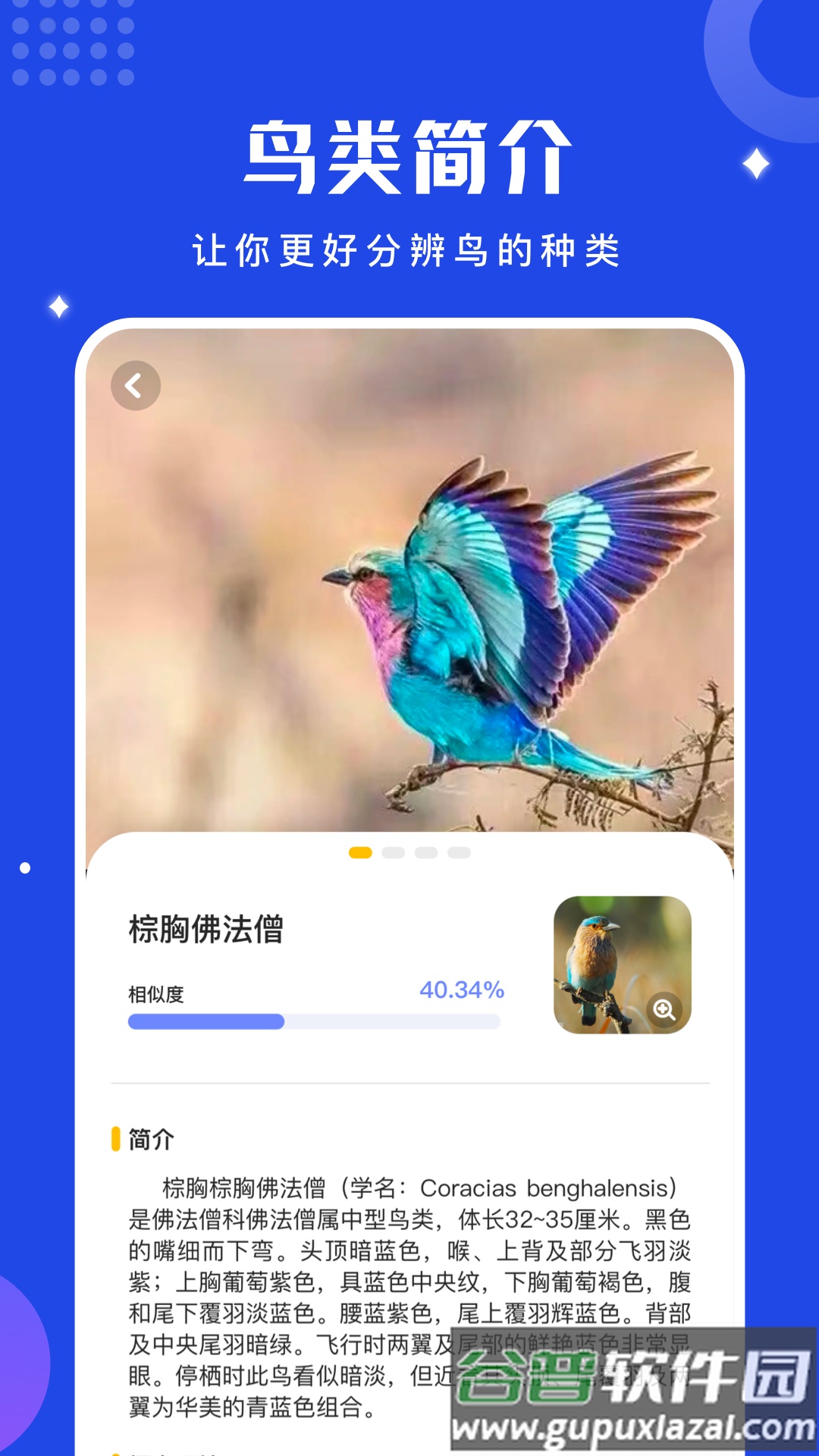 鸟语语言翻译器官方版(鸟语翻译器)截图3