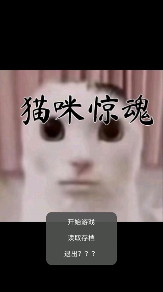 猫咪惊魂游戏截图1