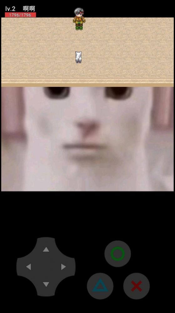 猫咪惊魂游戏截图2