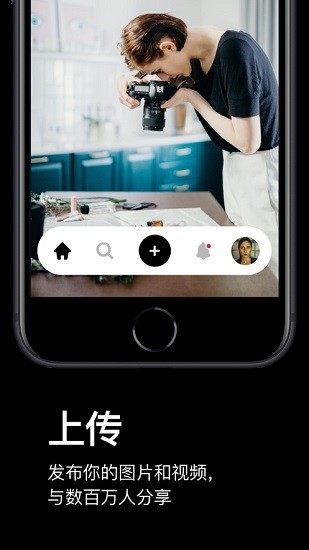 Pexels官方app手机版截图2