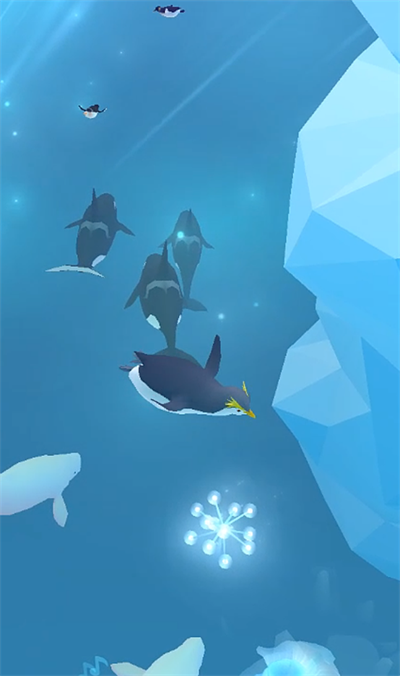 深海水族馆极地下载最新版截图2