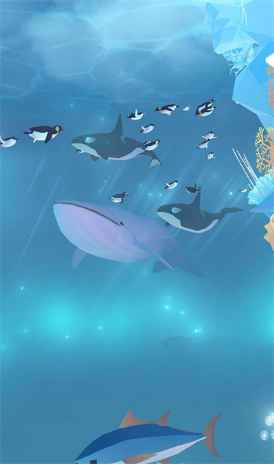 深海水族馆极地下载最新版截图4