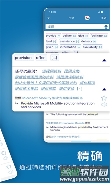 reverso翻译(Reverso Context)截图4