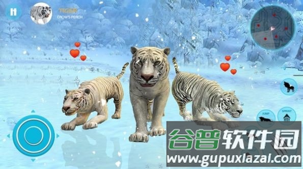 野生白虎家庭模拟(Wild White Tiger Family Sim)截图1