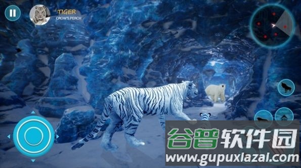 野生白虎家庭模拟(Wild White Tiger Family Sim)截图2