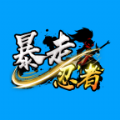 暴走忍者游戏v1.0