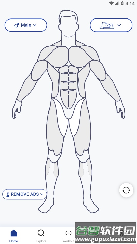 MuscleWiki官方下载截图1