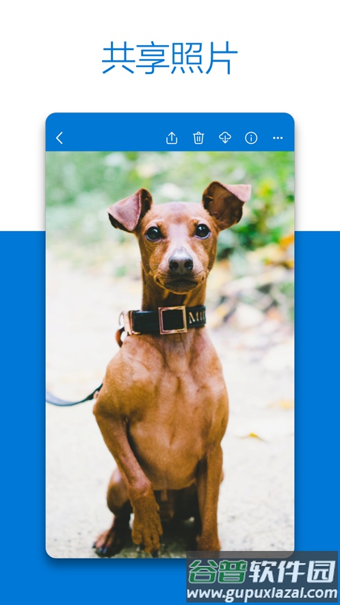 OneDrive安卓版下载截图3