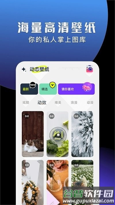 手机动态壁纸大全官方版截图2