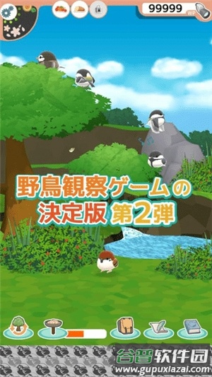 小鸟观察2游戏截图1