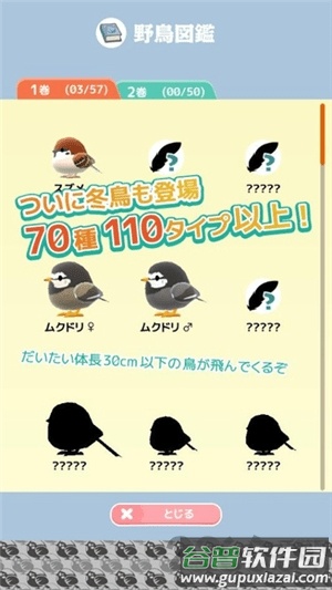 小鸟观察2游戏截图2