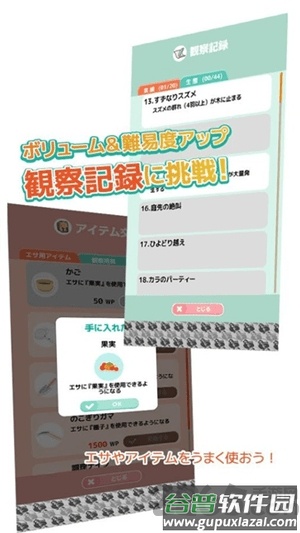 小鸟观察2游戏截图3