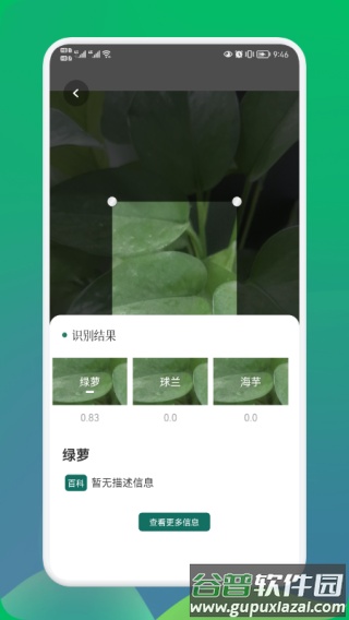 小园丁app下载截图4