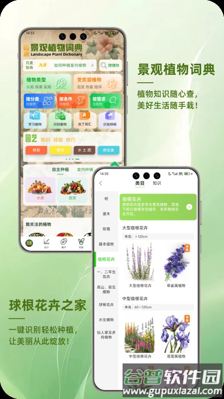 踏遍景观植物词典APP截图3