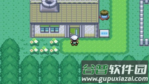 口袋妖怪绿宝石精装版最新版本截图3