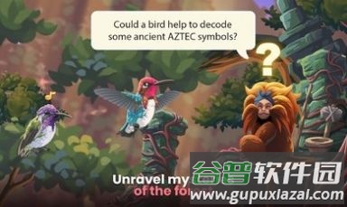 鸟类世界游戏Bird kind截图3