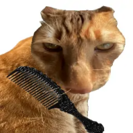 给猫梳毛手游v1.0