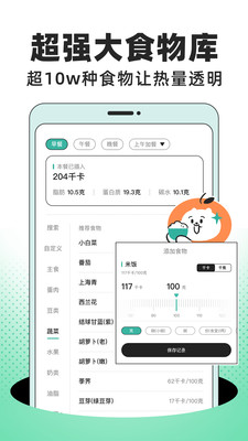 饭橘减肥食谱 官方版截图4