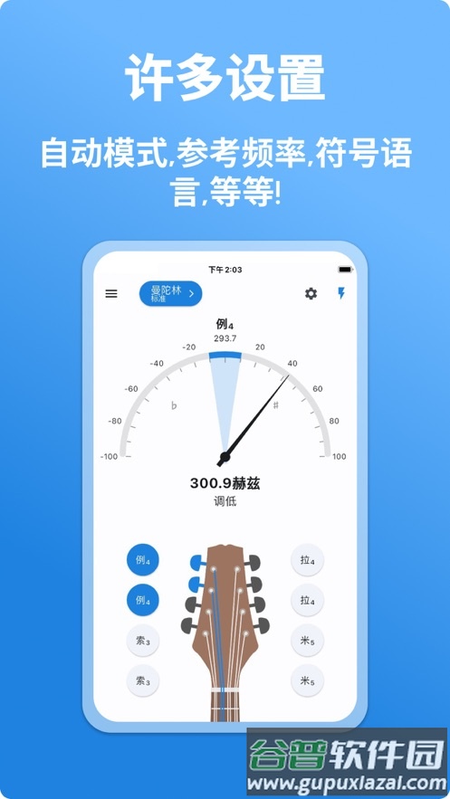 曼陀林调音器下载手机版截图4
