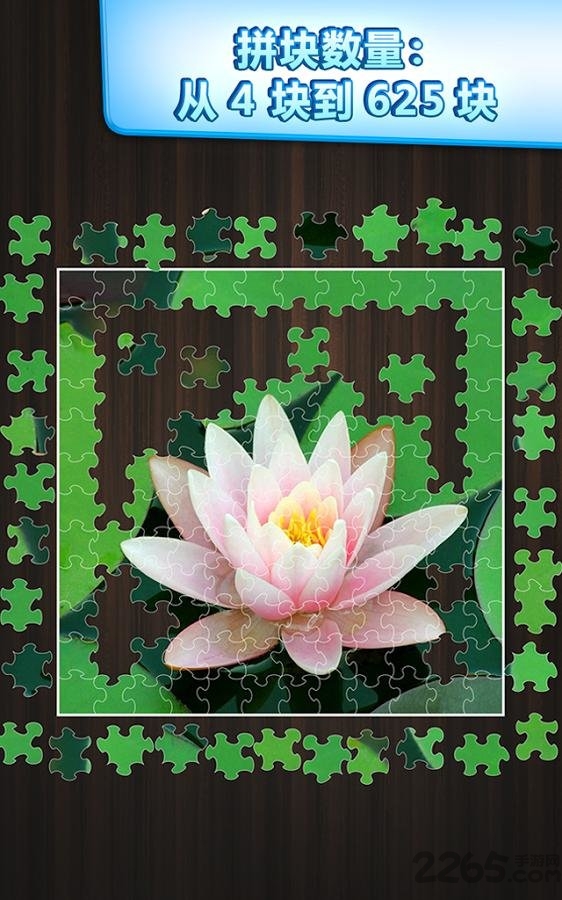 拼图挑战免费版截图3