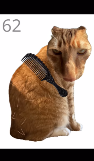 给猫梳毛手游
