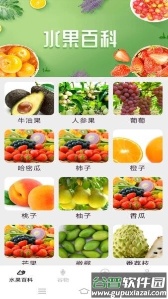 掌上果果多官方正版截图1