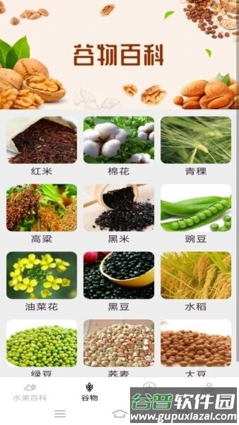 掌上果果多官方正版截图2