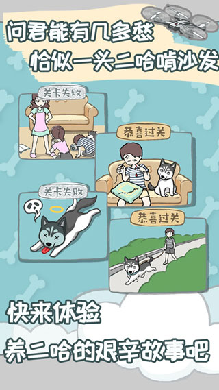 养只二哈不容易手机版 安卓版截图2