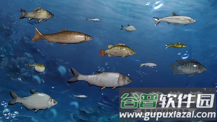天天钓鱼下载截图2