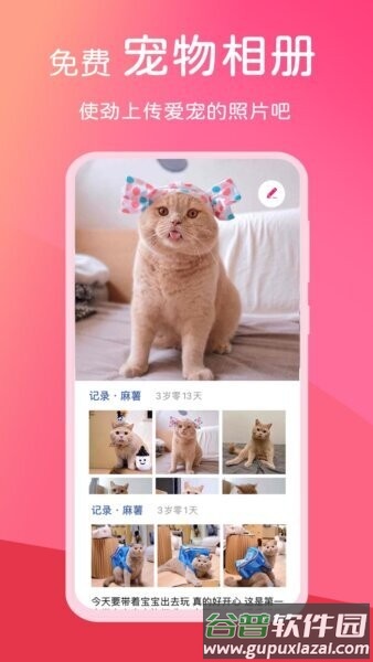 宠饭app截图2