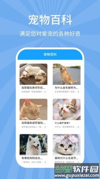 狗猫翻译器免费版截图3