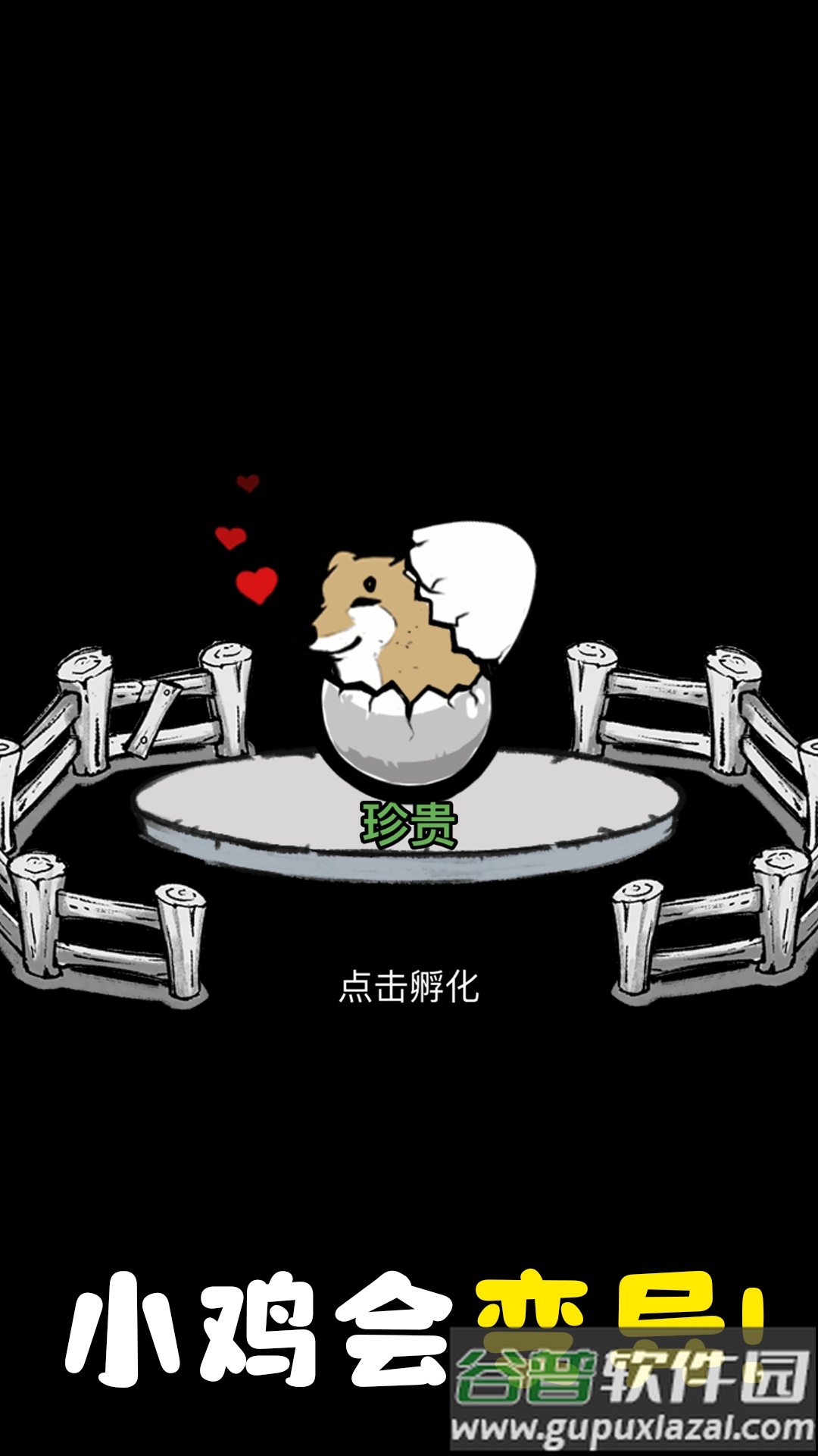 养鸡时长两年半截图1