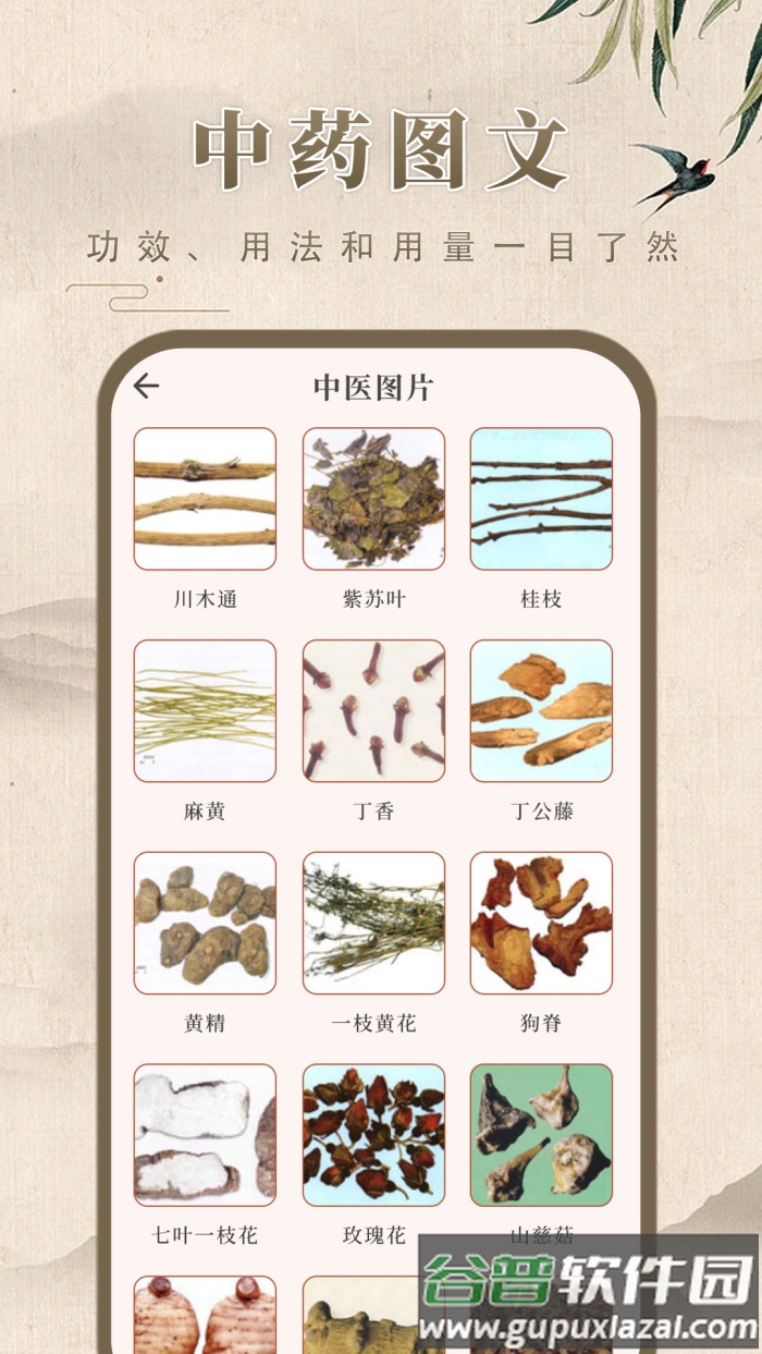 中药博小助app(中药学)截图4
