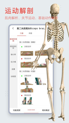 3Dbody解剖免费官网版 安卓版V8.8.41截图1