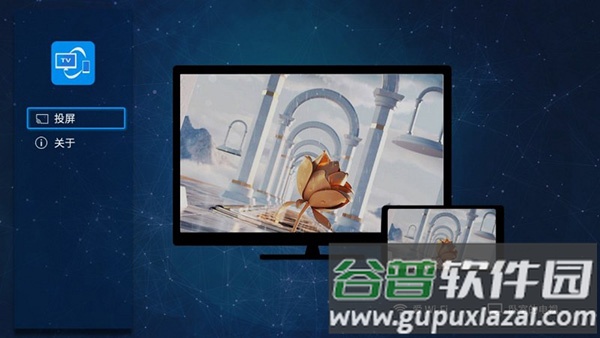 雨燕投屏tv版app截图1