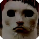 猫猫惊魂下载正版v23.01.191628