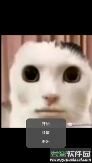 猫猫惊魂下载正版截图2