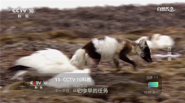壹万TV免费版截图3
