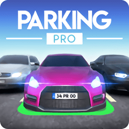 停车与驾驶游戏v0.1.5