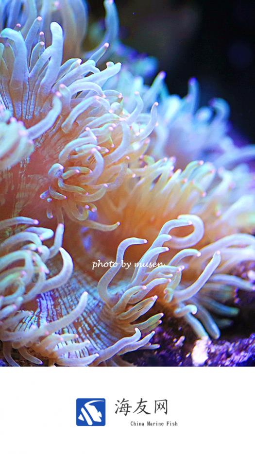 海友网手机版 官方版截图3