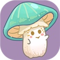 菌软软的装修手账手机版v1.0.1
