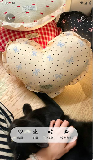 随心手机壁纸软件截图1