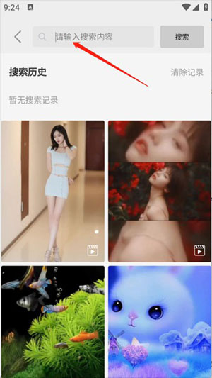 随心手机壁纸软件截图3