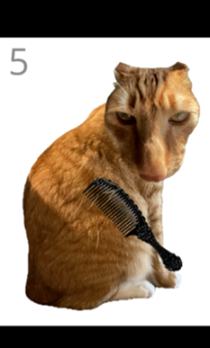 给猫梳毛安卓版截图3