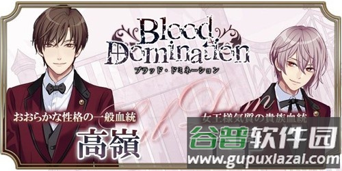 血之统治汉化版官方(ブラドミ)截图1