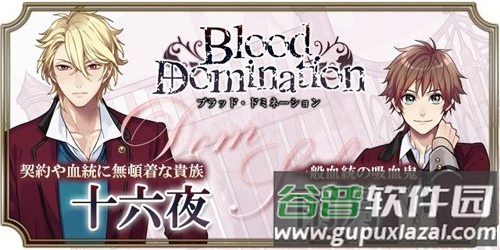 血之统治汉化版官方(ブラドミ)截图3